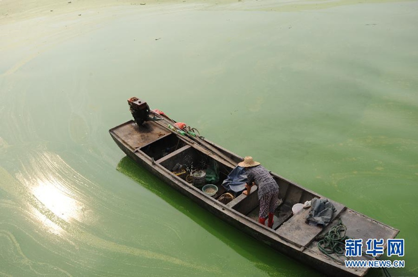 7��20�գ������Ǻ��볲�������O���С���������Ⱦ��(y��n)�ص�ˮ���ϡ�